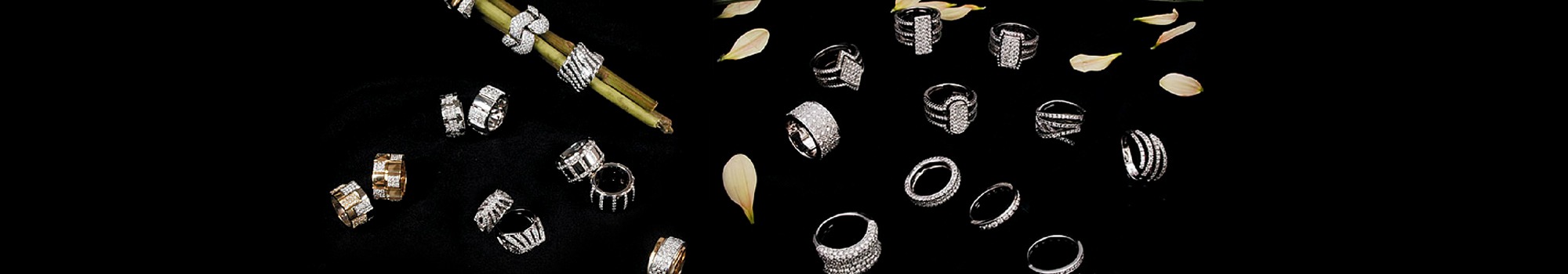 A collection of ringand accessories arranged